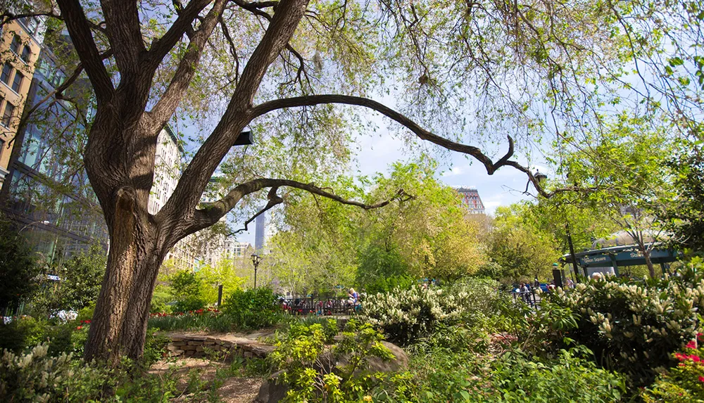 The image showcases a lush green park with a prominent tree in the foreground amidst urban surroundings on a bright sunny day