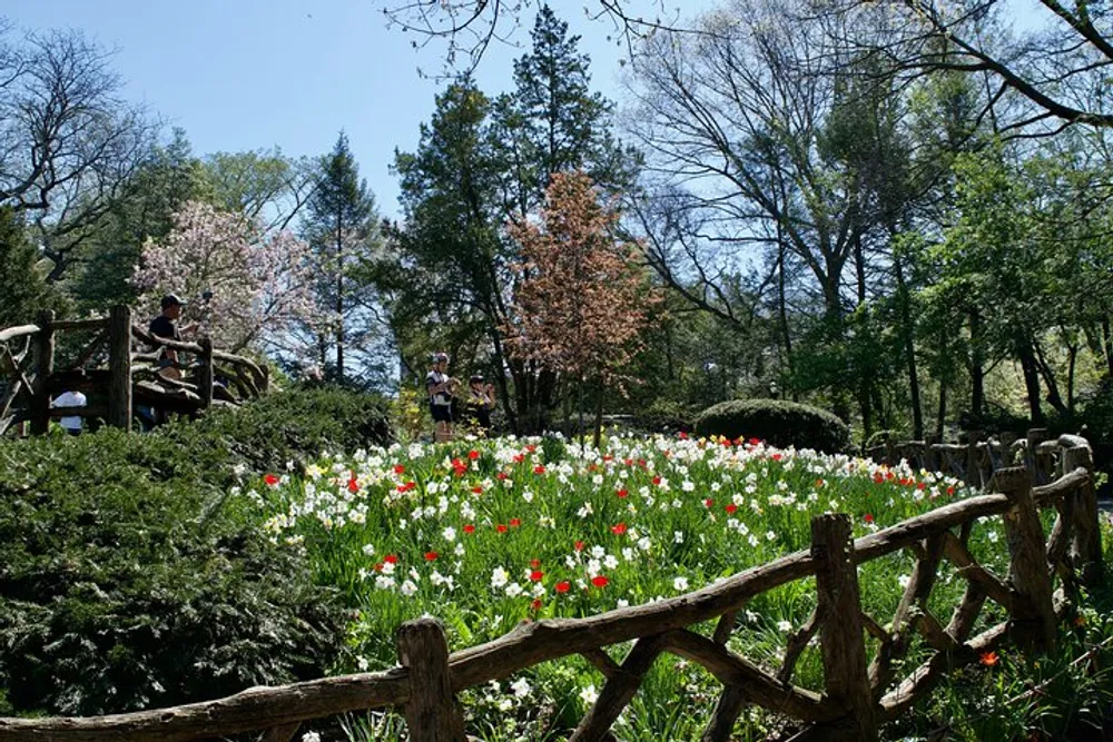 The image shows a lush garden with a colorful display of white and red flowers a rustic wooden fence and people enjoying the serene setting under a blue sky