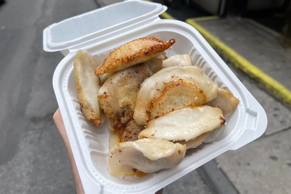 The image shows a styrofoam container holding several golden-brown pan-fried dumplings which appear to be freshly cooked and ready to eat