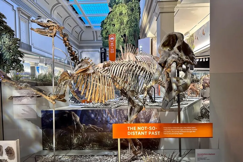 The image shows the skeleton display of a large extinct mammal labeled THE NOT-SO-DISTANT PAST exhibited in a museum hall with elegant architectural details