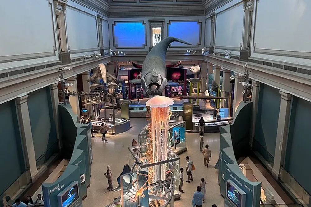 The image shows an exhibition hall in a natural history museum featuring a whale model hanging from the ceiling and a variety of displays including a large jellyfish model with visitors walking around and observing the exhibits