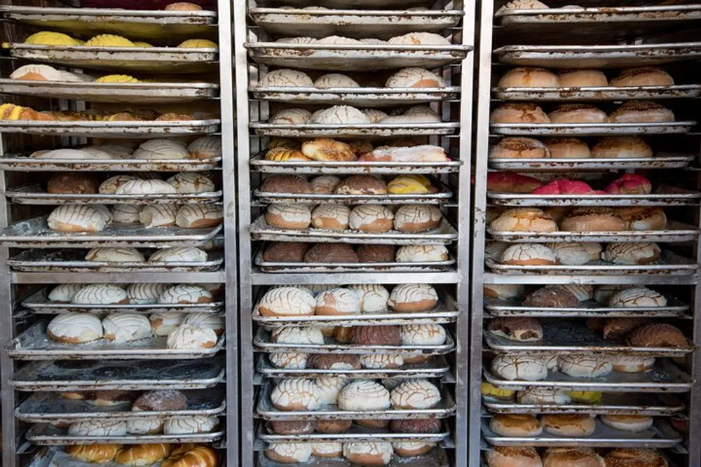 Multiple racks filled with a variety of freshly baked bread loaves are stacked together showcasing an abundance of different shapes and crust colors