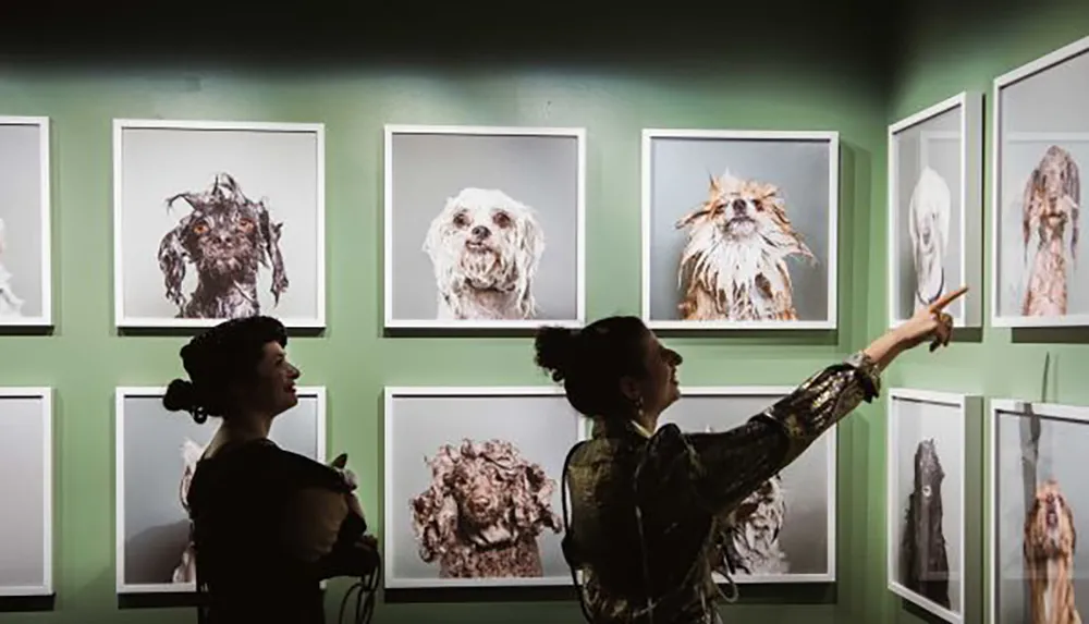 Two people are observing and discussing a collection of framed dog portraits in an art gallery