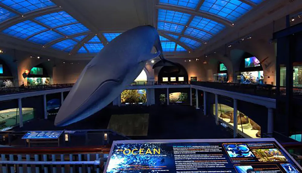 The image shows an exhibit inside a museum featuring a large blue whale model suspended from the ceiling with various informational displays and a skylight above