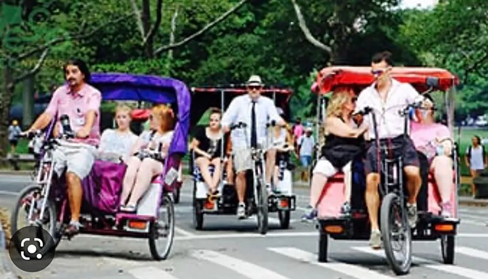 Three pedicabs each with a driver and passengers are traveling down a tree-lined road