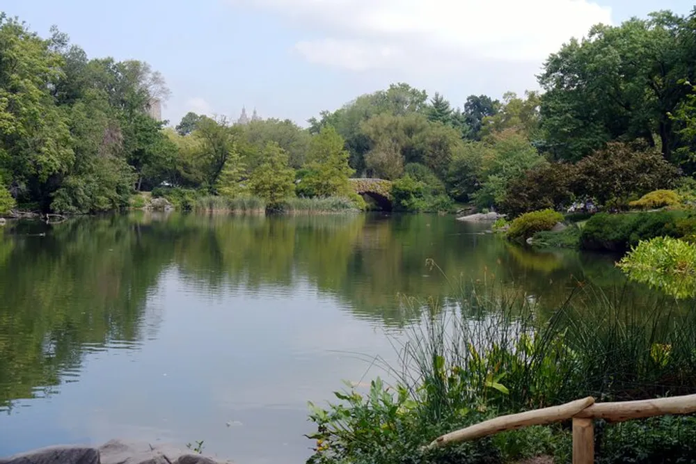 The image shows a tranquil pond surrounded by lush greenery and trees with a stone bridge in the background