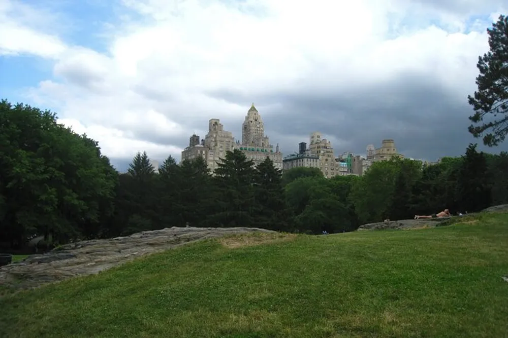 The image shows a lush green meadow in a park with a city skyline in the background and a cloudy sky overhead