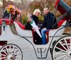 A person is kneeling on one knee in what appears to be a marriage proposal to a pleasantly surprised individual in a park with onlookers and horse-drawn carriages in the background