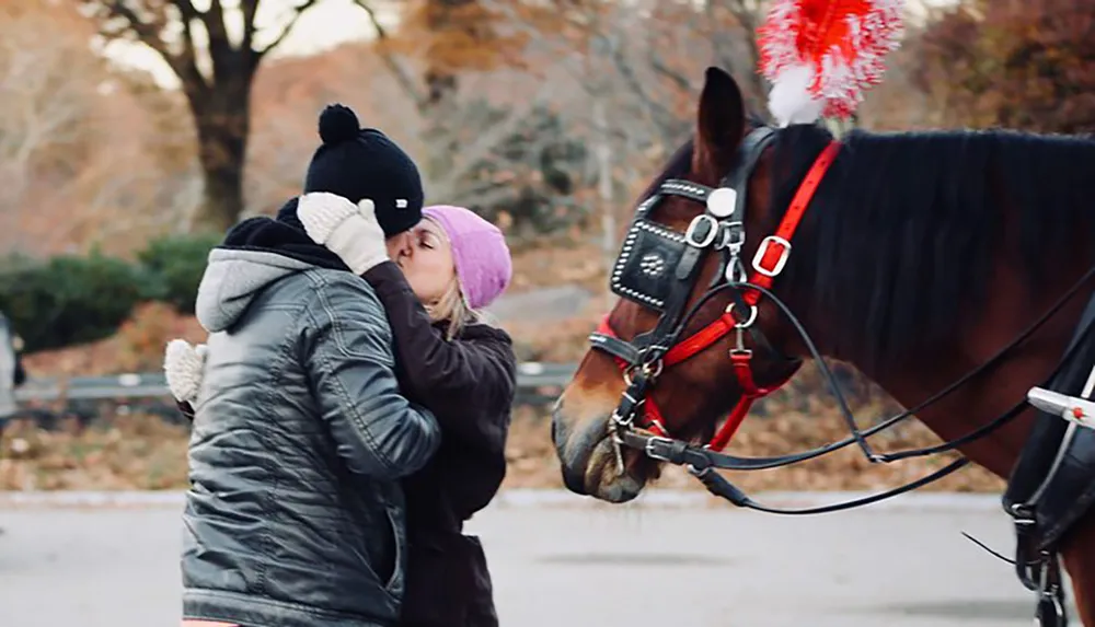 A couple is kissing in front of a horse adorned with festive decorations possibly in a park during the colder months