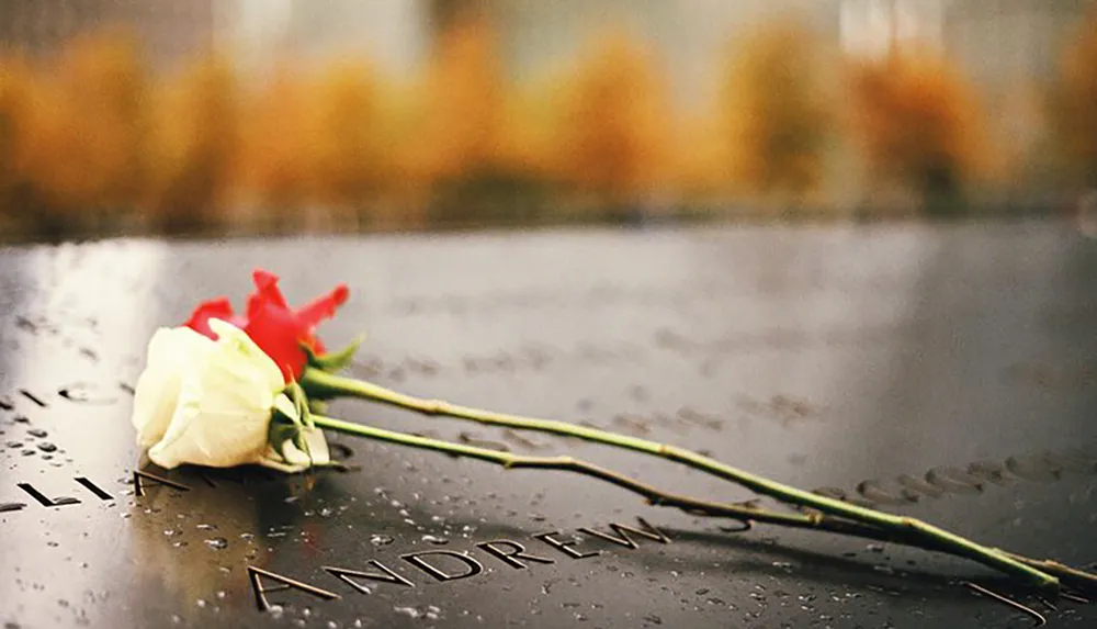 A red and a white rose rest upon a wet memorial with engraved names signifying remembrance and loss