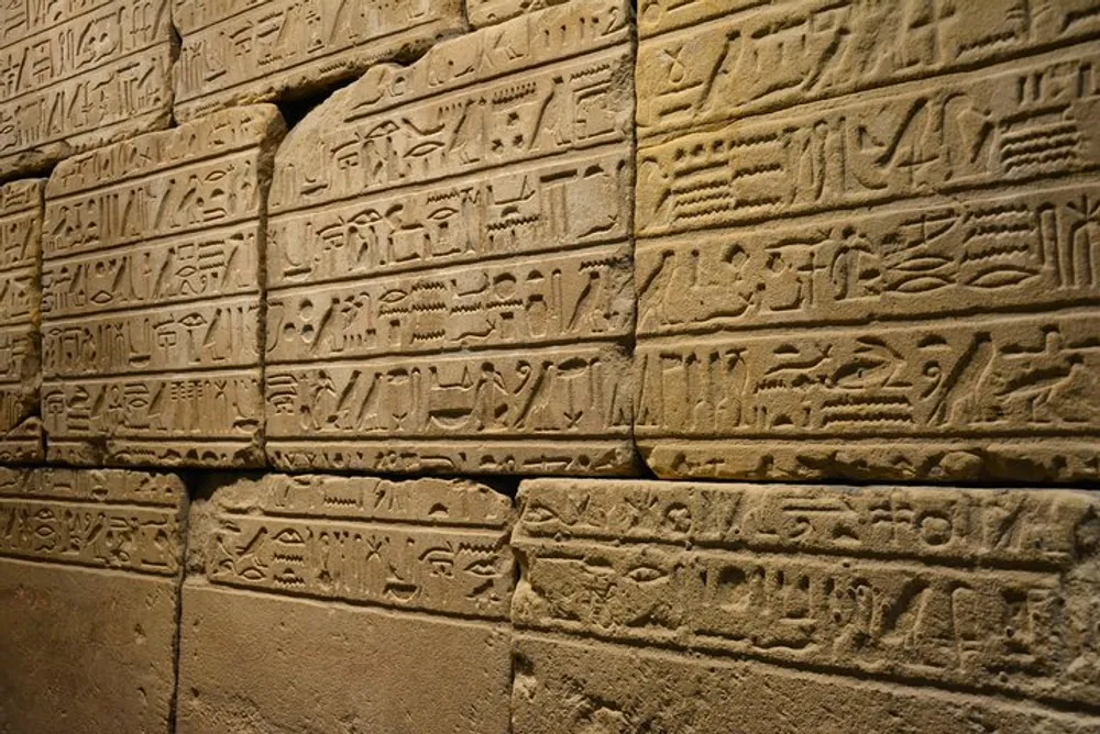 The image shows an ancient wall with detailed Egyptian hieroglyphs carved into the stone