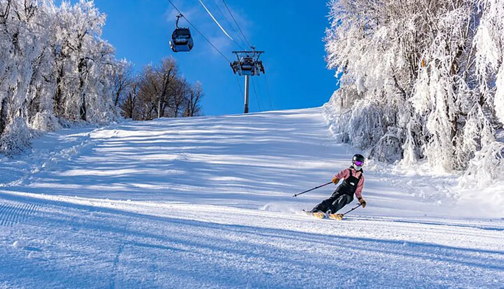 A skier carves down a snowy slope passing under a ski lift on a sunny day with trees covered in frost in the background