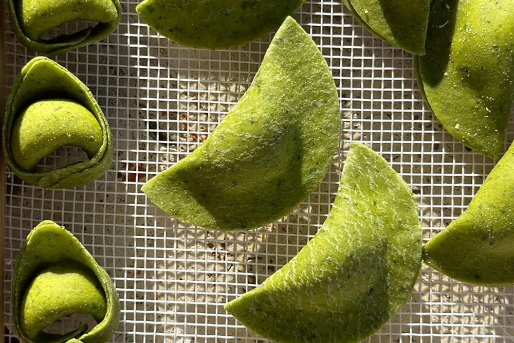 The image shows freshly made green pasta dough possibly spinach-flavored cut into various shapes and laid out on a mesh to dry