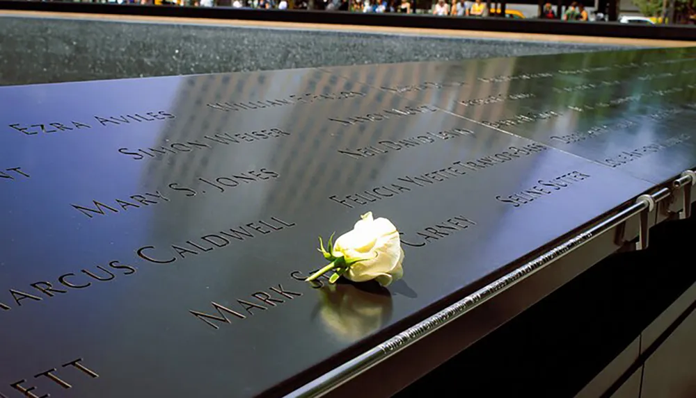 A single white rose lies atop a reflective black memorial inscribed with names as a symbol of remembrance and honor