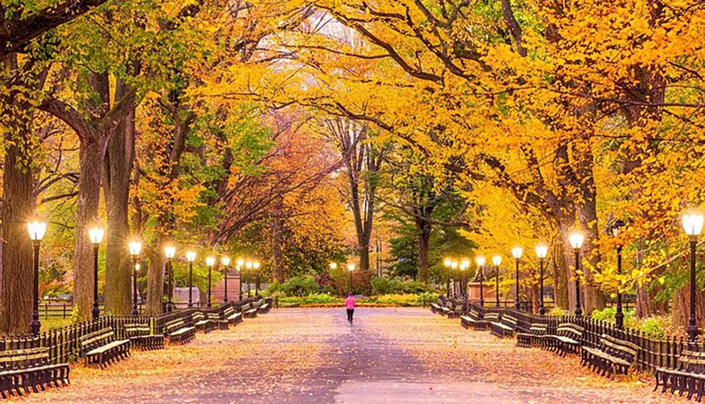 A solitary person strolls down a serene park path lined with benches and glowing street lamps amidst a canopy of golden autumn leaves