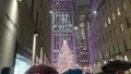 2 Hour Private Elf Movie Sites Guided Tour in New York City Photo