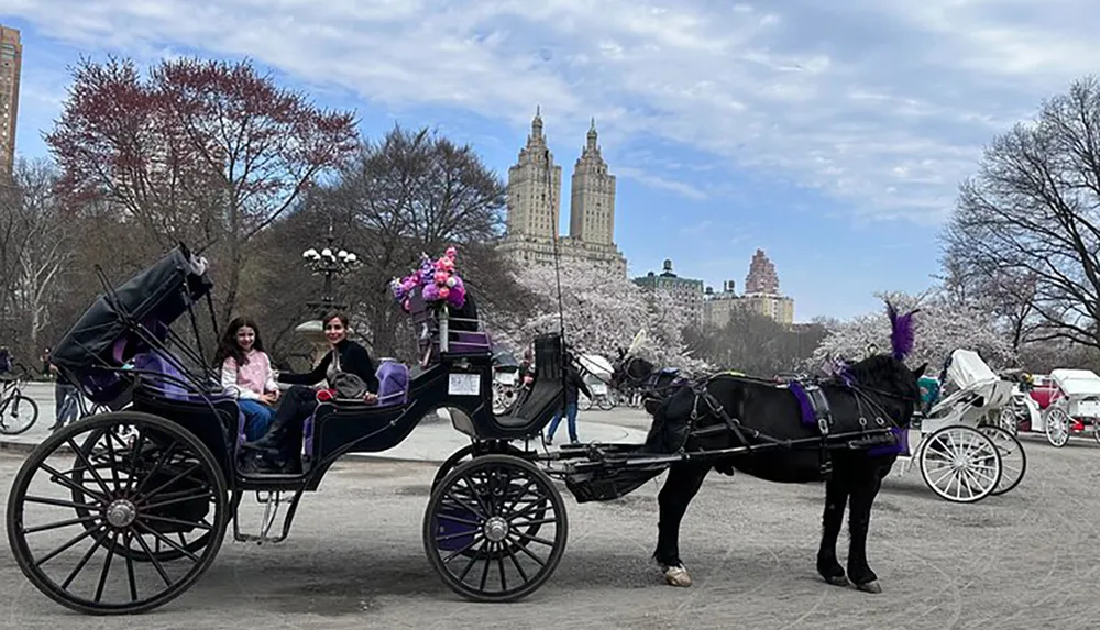 A horse-drawn carriage adorned with purple flowers carries passengers through a park with blooming trees and city buildings in the background