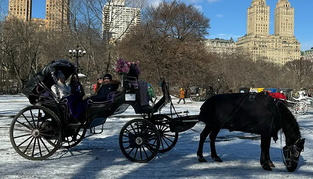 A horse-drawn carriage carries passengers through a snowy park with urban buildings in the background