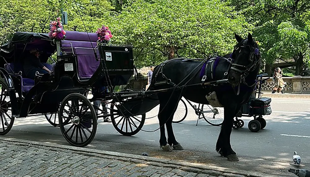 A horse-drawn carriage decorated with pink flowers is parked on a cobblestone street with a driver sitting inside and a pigeon in the foreground