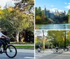 A person is biking along a street with lush greenery and colorful trees in the background