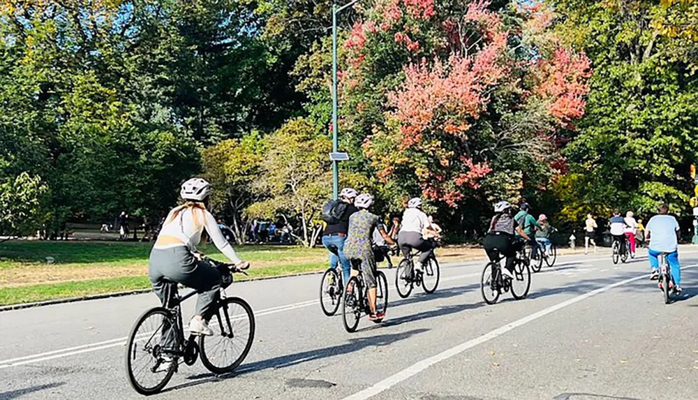 A group of cyclists is riding along a park road lined with trees showing early autumn colors