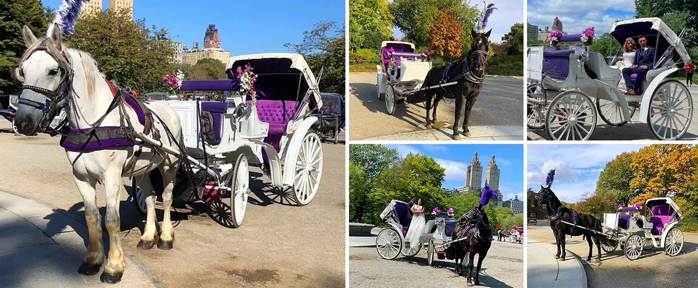 NYC Big Apple Horse Carriage Rides in Central Park