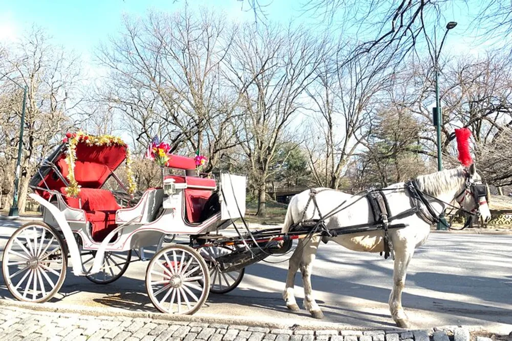 A horse-drawn carriage adorned with red decorations stands on the side of a road likely offering rides to tourists or for special occasions