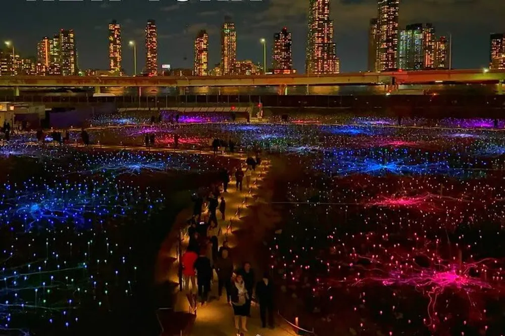 The image shows a vibrant field of multicolored lights in the foreground with visitors walking through set against a backdrop of a city skyline at night