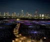 The image shows a vibrant field of multicolored lights in the foreground with visitors walking through set against a backdrop of a city skyline at night