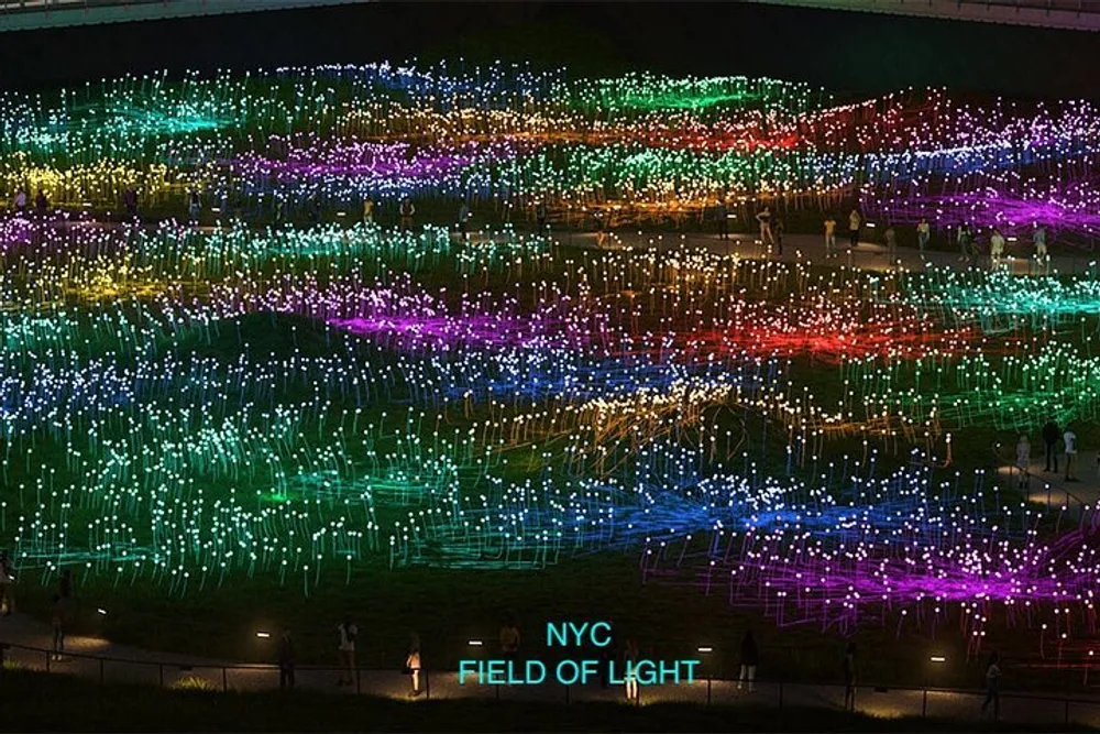 The image shows an expansive outdoor light installation with countless illuminated fibers in various colors creating a vibrant glowing landscape at night labeled as NYC FIELD OF LIGHT