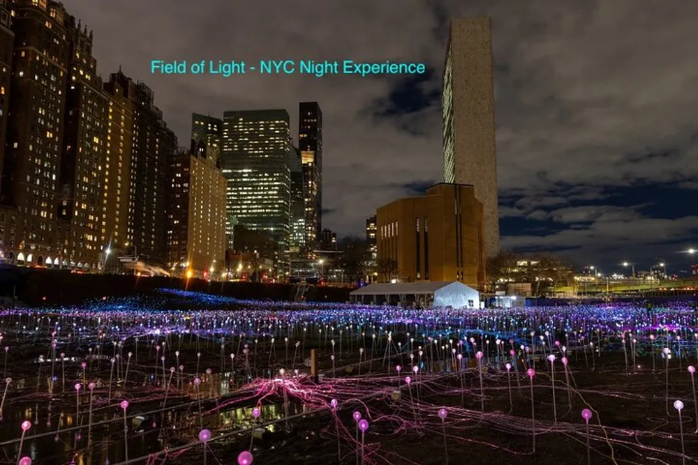 The image captures a vibrant outdoor light installation at night with myriad illuminated spheres spread across a field creating a dynamic contrast with the cityscape and the evening sky in the background