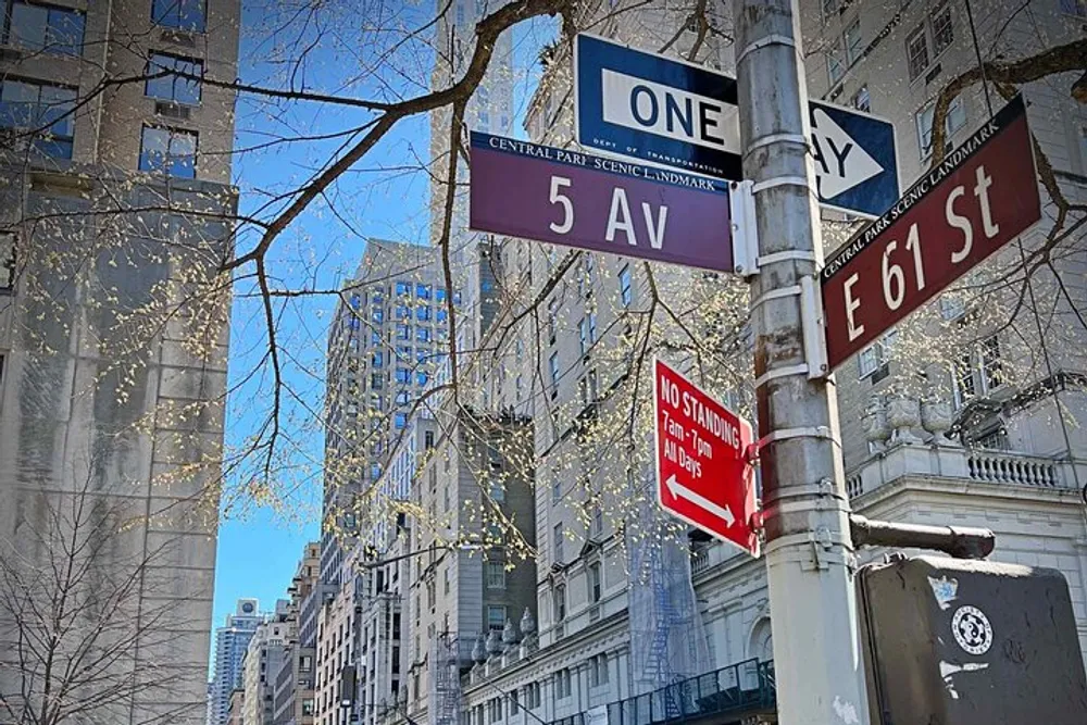 This image shows a cluster of street signs including 5 AV and E 61 ST at an intersection in a city with buildings in the background and budding trees indicating early spring or late winter