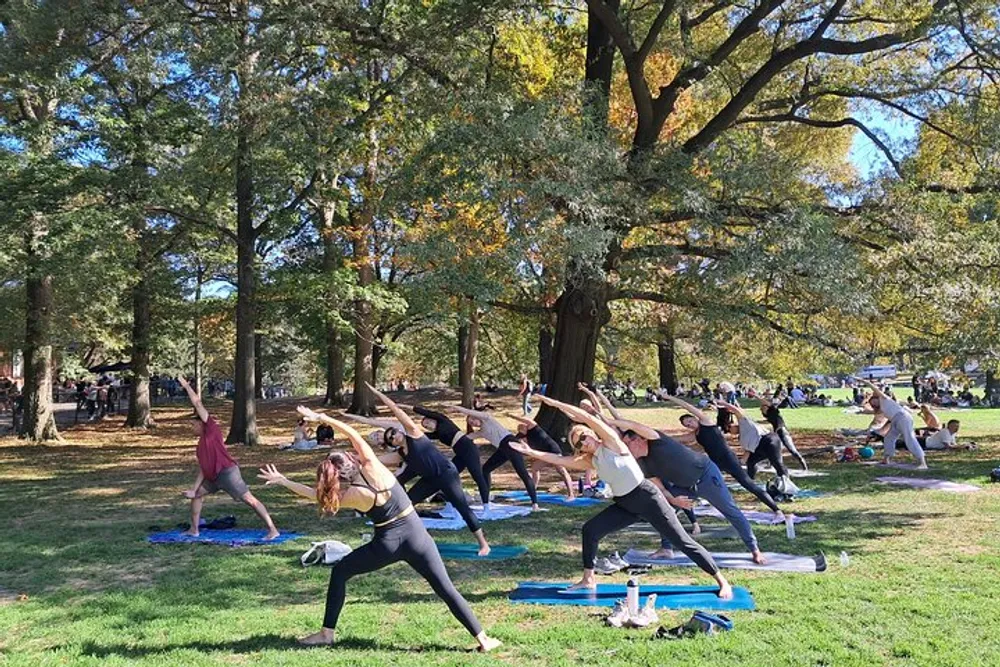 A group of people is participating in an outdoor yoga class in a park filled with trees and enjoying the sunny weather