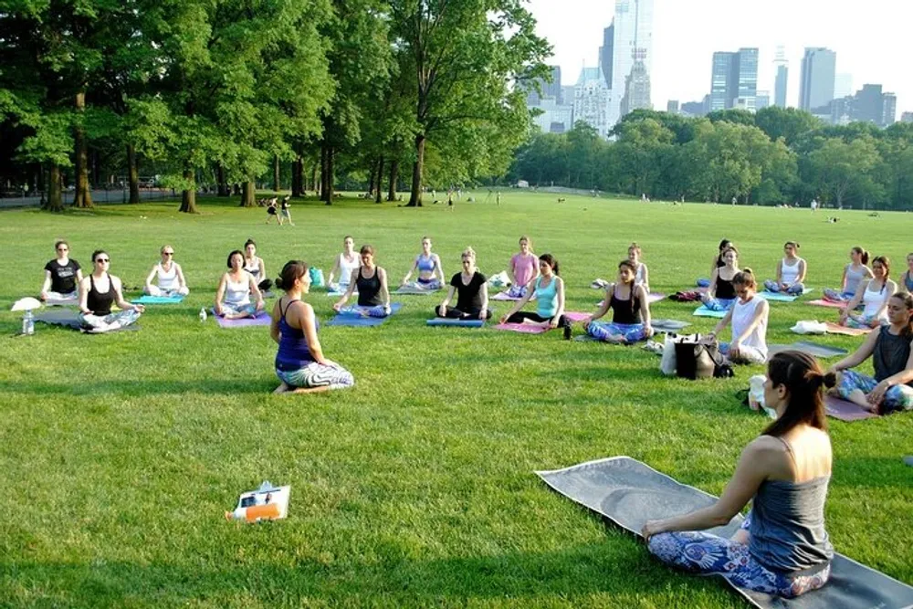 A group of people is participating in an outdoor yoga class in a park with the city skyline in the background