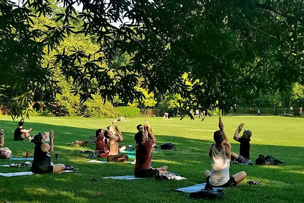 A group of people is participating in an outdoor yoga class in a lush park setting