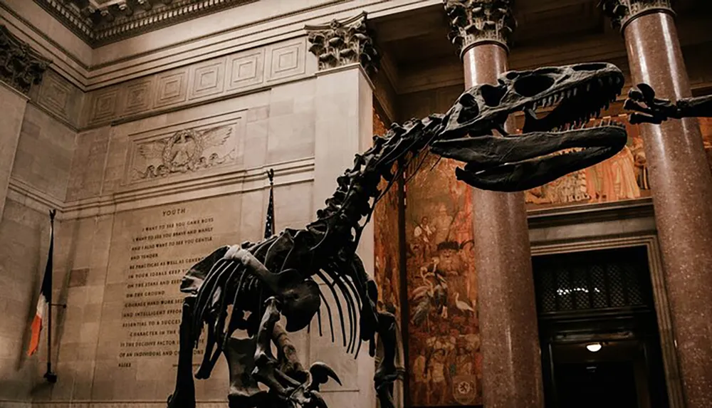 A dinosaur skeleton is displayed prominently in the grand hall of a museum exuding a sense of ancient grandeur amidst the classical architecture