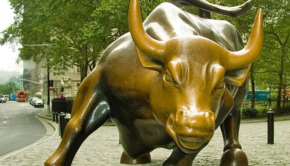 The image shows the Charging Bull sculpture a famous bronze statue that stands in the Financial District of Manhattan New York City