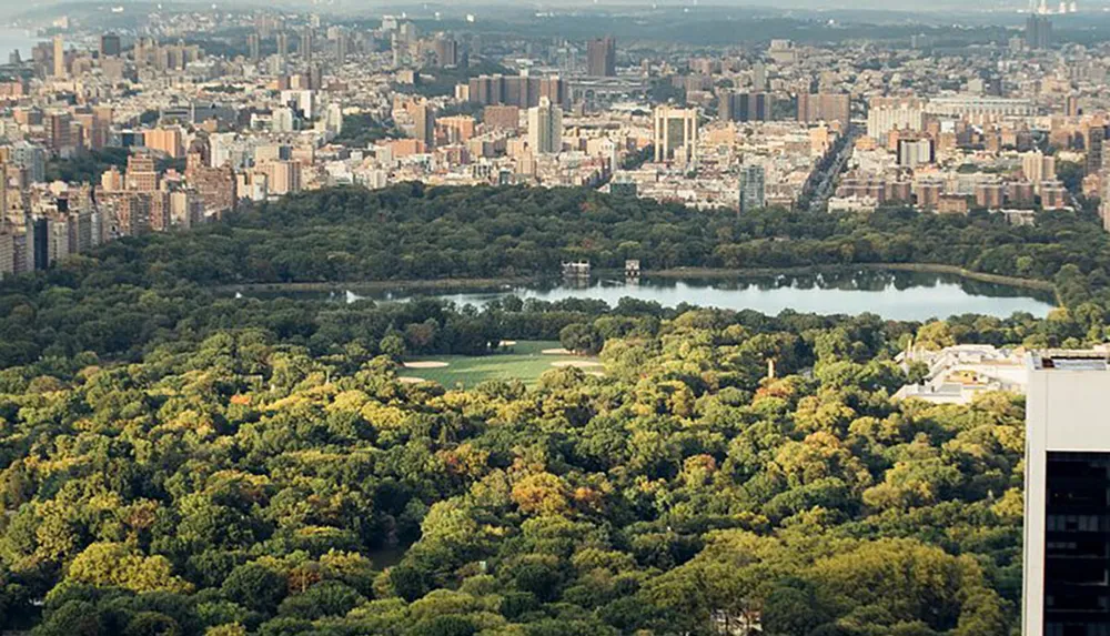 This is an aerial view of a lush Central Park surrounded by the urban cityscape of New York City