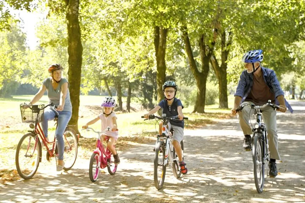 A family of four is enjoying a sunny day riding their bicycles together down a tree-lined path