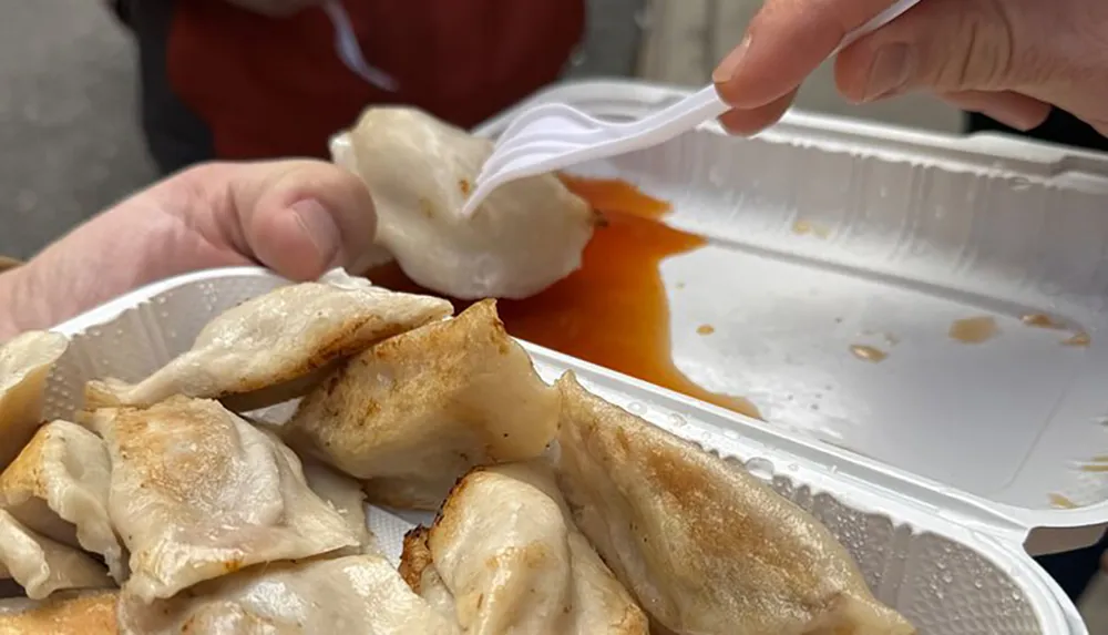 A person is picking up a dumpling with a plastic fork from a takeout container filled with more dumplings and some sauce