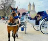 A horse harnessed to an elegant carriage stands in the foreground with two passengers enjoying a ride in the background likely in a park with blooming trees and a cityscape in the distance