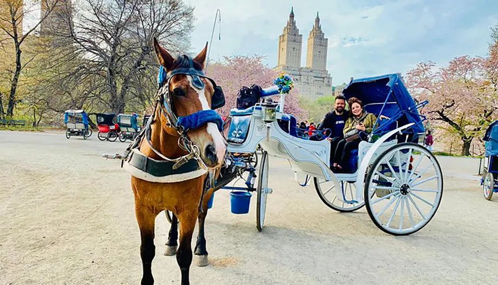 A horse harnessed to an elegant carriage stands in the foreground with two passengers enjoying a ride in the background likely in a park with blooming trees and a cityscape in the distance