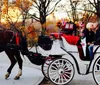 A horse harnessed to an elegant carriage stands in the foreground with two passengers enjoying a ride in the background likely in a park with blooming trees and a cityscape in the distance