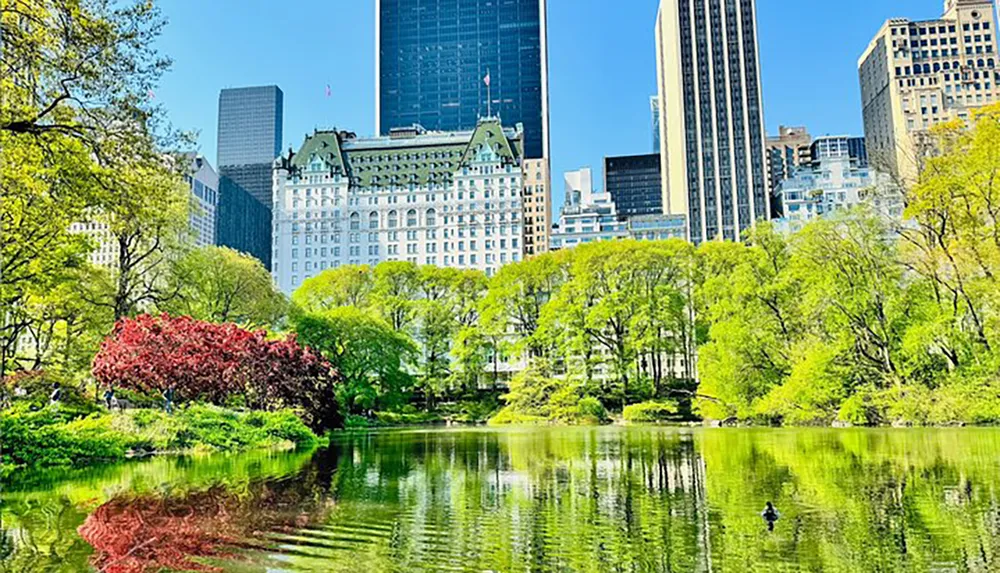 The image shows a lush green park with a pond in the foreground and a backdrop of various high-rise buildings symbolizing an urban landscape