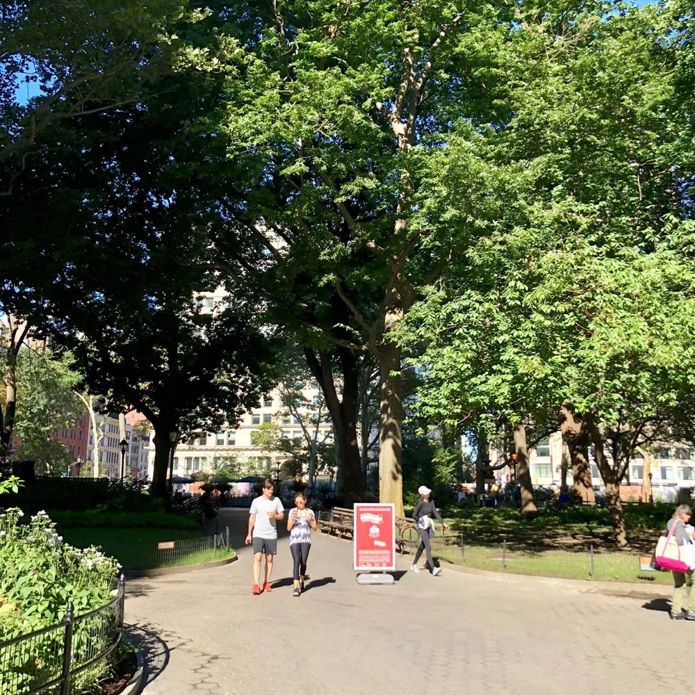 People are walking along a sunlit pathway surrounded by lush green trees in an urban park