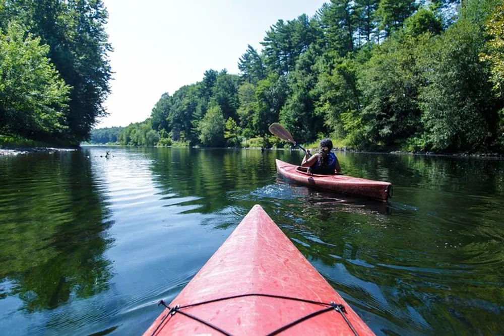 Two people are kayaking on a calm river surrounded by lush greenery on a sunny day