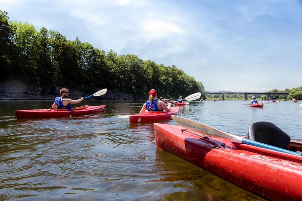 A group of people are kayaking on a calm river on a sunny day