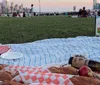 A picnic setup on a striped blue and white blanket with some food items laid out on it overlooking a scenic view of a city skyline at dusk