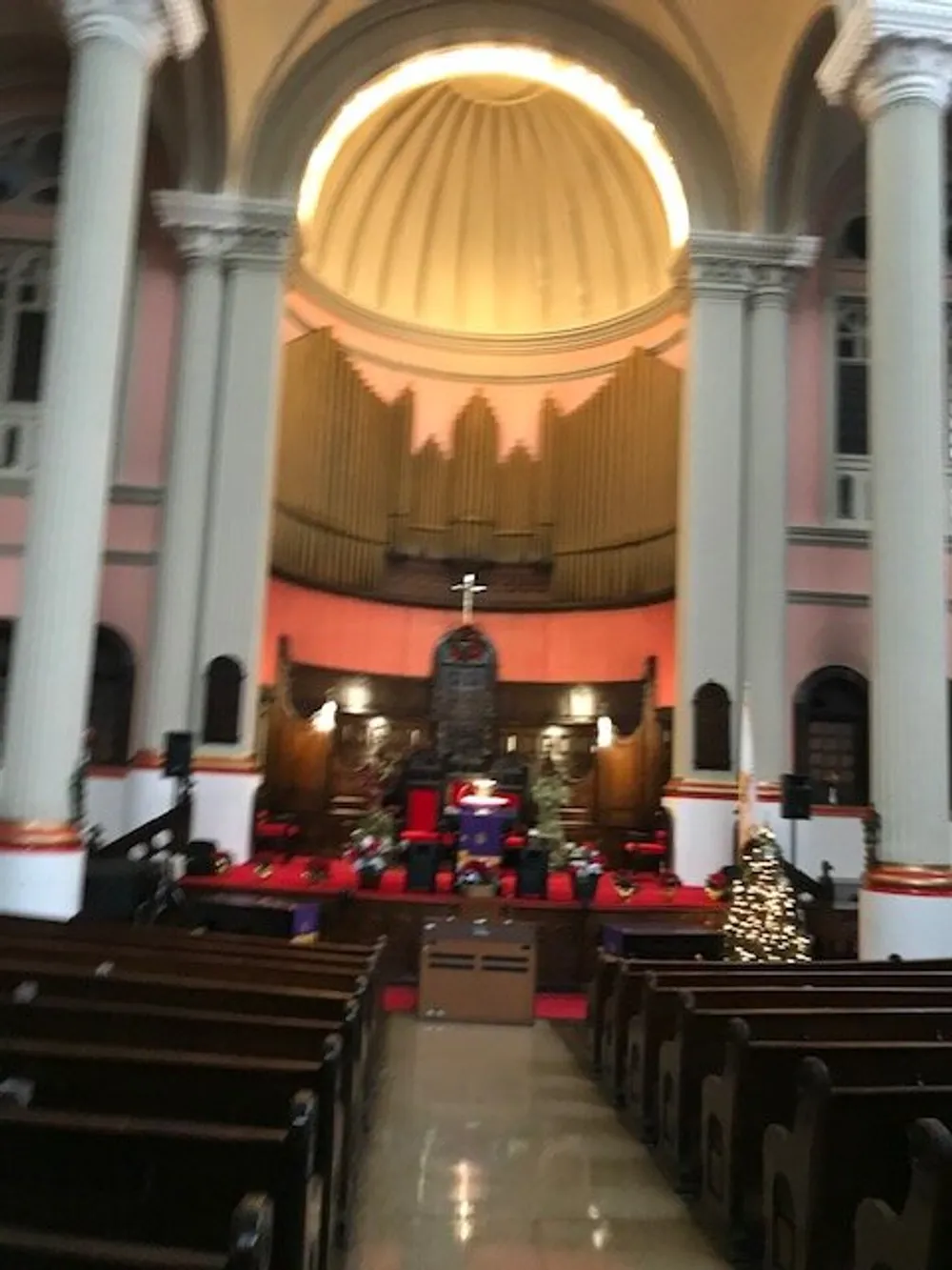 The image shows the interior of a church with rows of pews a decorated Christmas tree and a prominent organ at the back of the altar area under a rounded ceiling