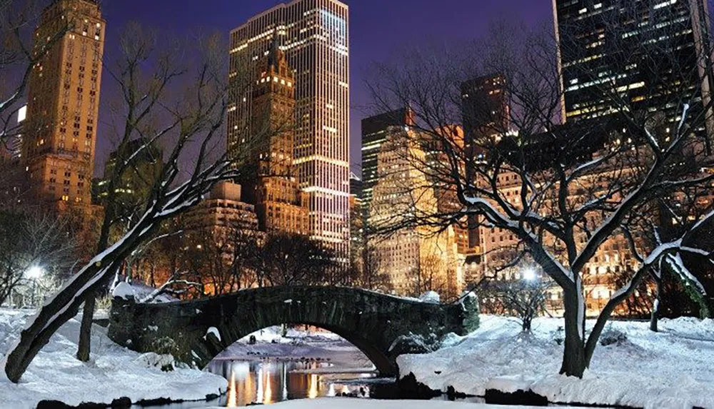 A snowy nighttime scene in a park with a stone bridge in the foreground and illuminated skyscrapers in the background